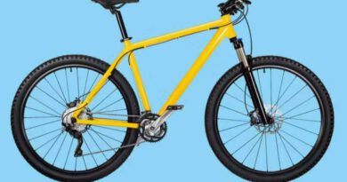 Как выбрать бюджетный велосипед: на что смотреть, чтобы не пожалеть